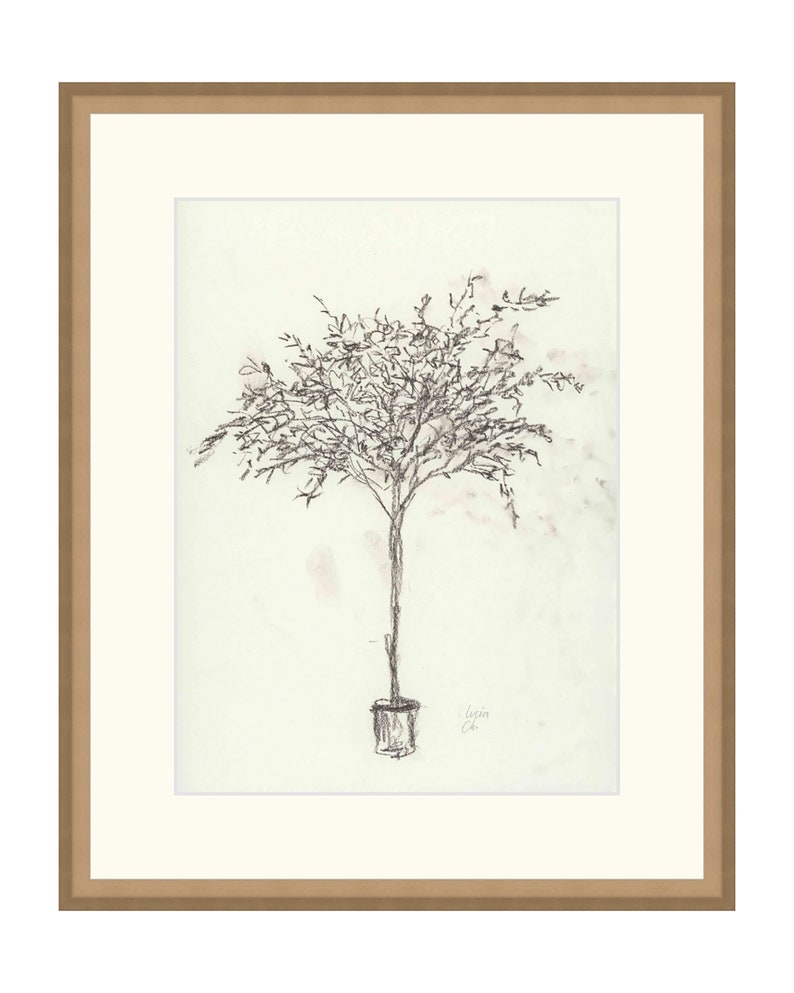 Puede incluir: Un dibujo a l&aacute;piz en blanco y negro de un &aacute;rbol en maceta, realizado en un estilo simple y minimalista. El dibujo est&aacute; enmarcado en un marco de madera marr&oacute;n claro.