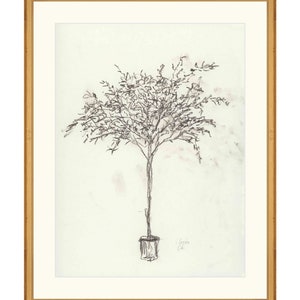 Puede incluir: Un dibujo a l&aacute;piz en blanco y negro de un &aacute;rbol en maceta sobre un fondo marr&oacute;n claro. El dibujo est&aacute; enmarcado en un marco dorado. La firma del artista, "Lyrin Ch", est&aacute; en la esquina inferior derecha.