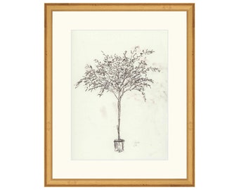 May include: A black and white line drawing of a potted tree with a light brown background. The drawing is framed in a gold frame.