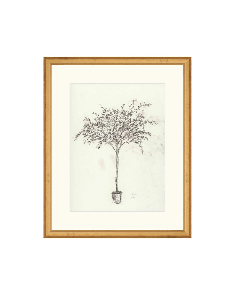 Olive Tree Sketch II. Tree Sketch Print. Olive Tree Art Print. - Etsy