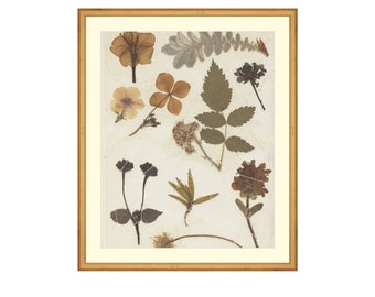 Autumnal Study II. Moody Floral Print. Leaf Art Print. Vintage Botanical. Antique Botanical Art. Vintage Leaf Wall Art. Giclee Fine Art.
