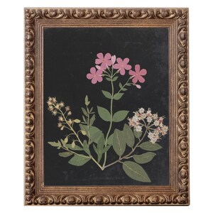 Flower Study I. Minimal Flower Print. Painting of Flowers. Antique Flower Painting. Vintage Painting. Vintage Flower Art. imagen 1