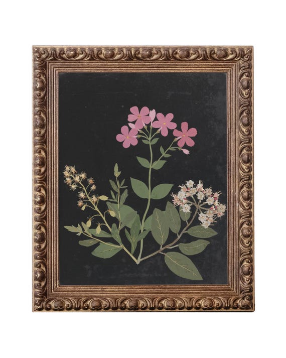 Flower Study I. Minimal Flower Print. Painting of Flowers. Antique Flower Painting. Vintage Painting. Vintage Flower Art.