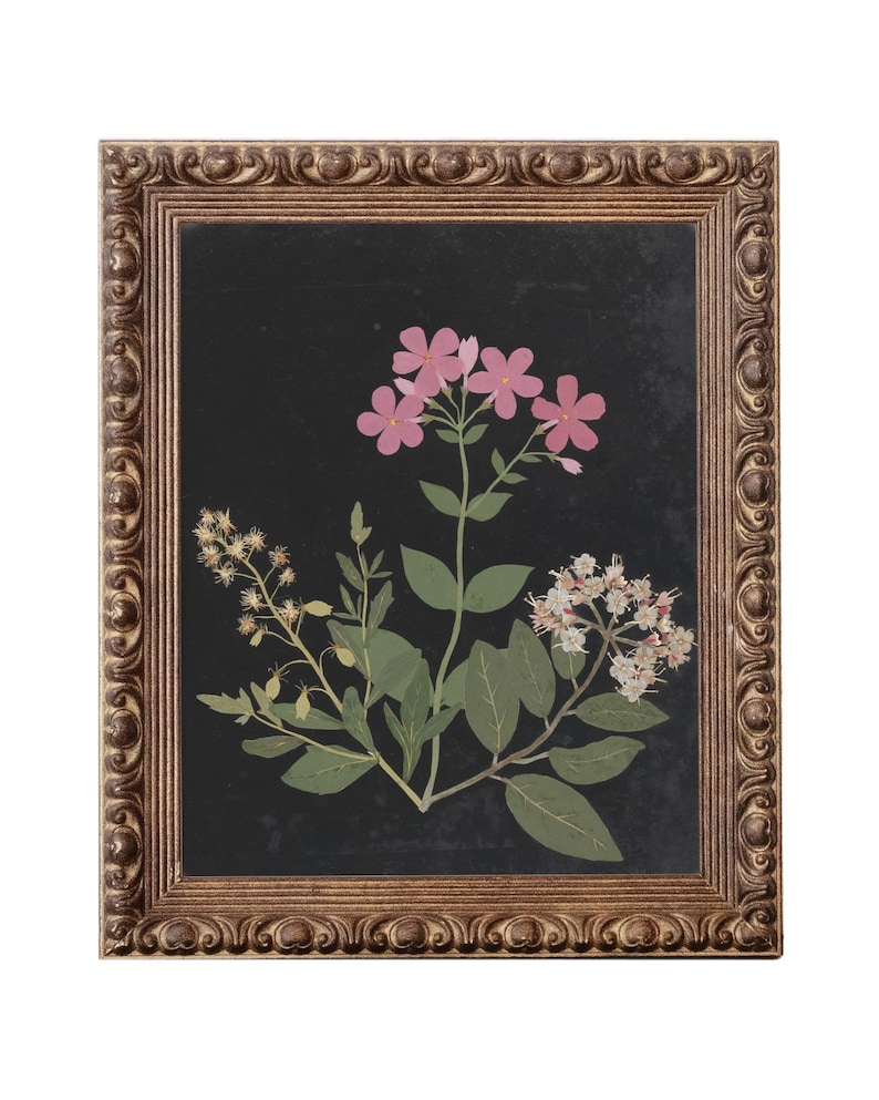 Flower Study I. Minimal Flower Print. Painting of Flowers. Antique Flower Painting. Vintage Painting. Vintage Flower Art. imagen 1