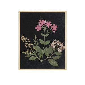 Flower Study I