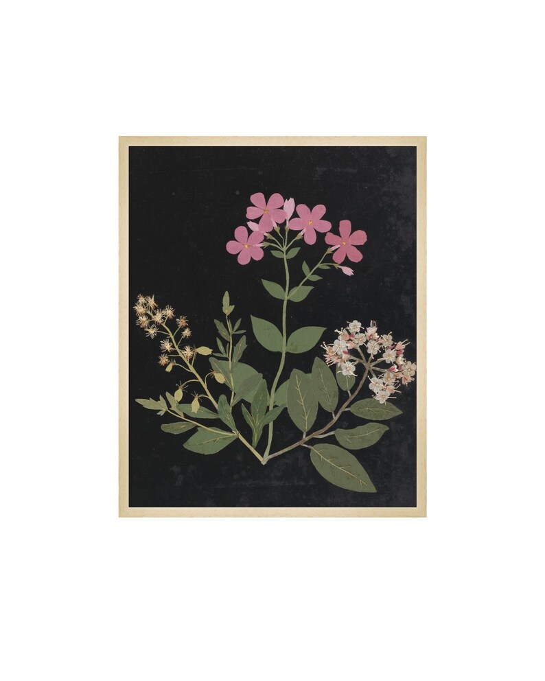 Flower Study I