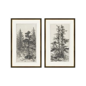 Peut inclure: Deux impressions en noir et blanc encadrées représentant une scène de forêt avec de grands arbres. Les impressions sont dans des cadres simples et élégants avec une finition brun foncé.