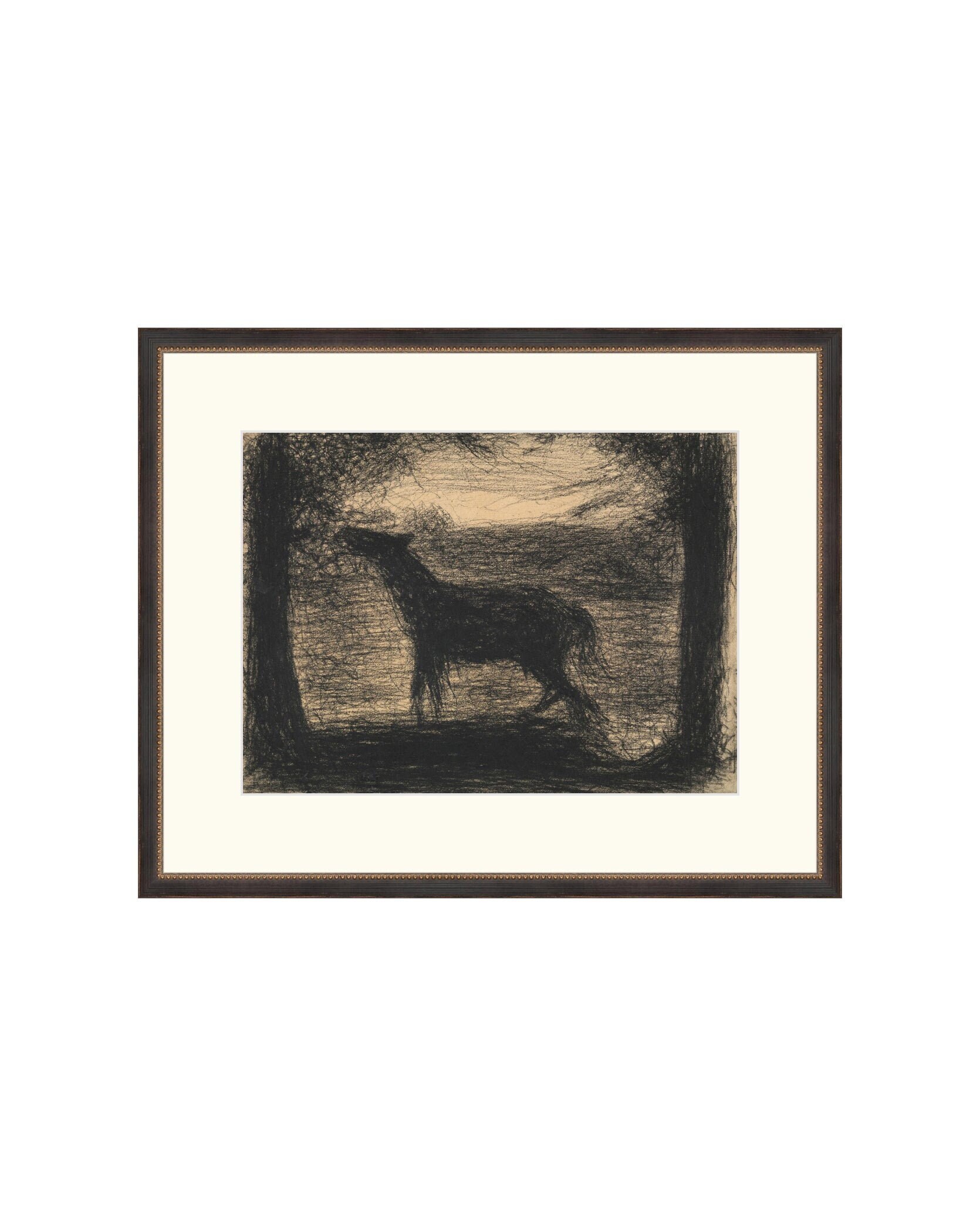 Foal Drawing. Sketch of Animal. Artwork Drawing Charcoal. Animal Print Drawing. Foal Sketch. Animal Art Print. Art Prints Giclee Custom Size
