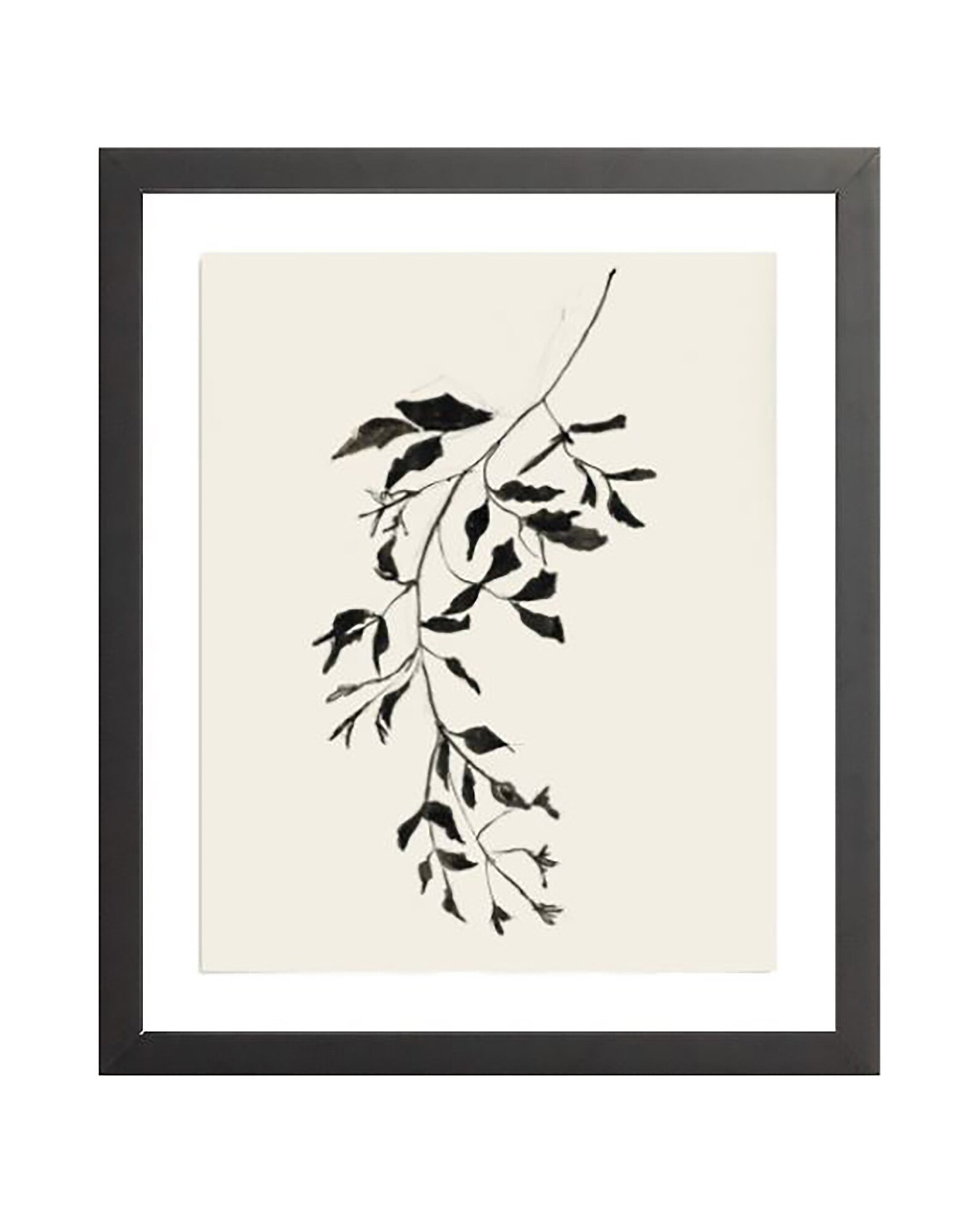 Botanical Ink Study II. Ink Print Art. Holiday Drawing Ink. Etsy