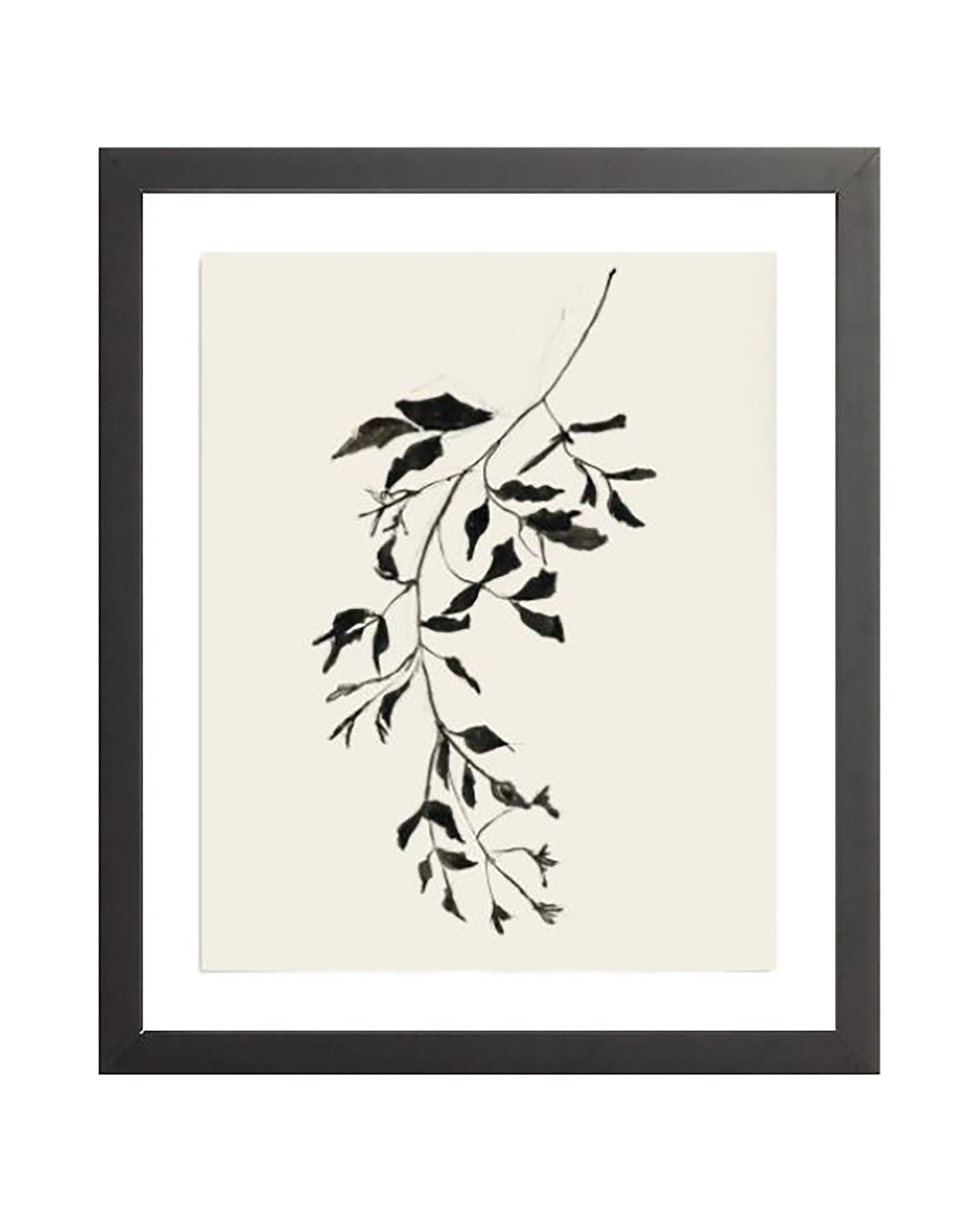 Botanical Ink Study II. Ink Print Art. Holiday Drawing Ink. Etsy