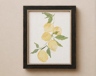 Reproduction giclée d'une branche de citronnier. Étude botanique de citrons. Citrons aquarelle encadrés.