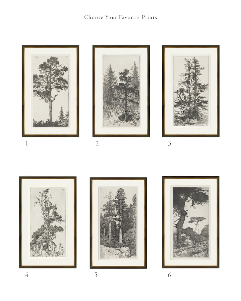 May include: Six black and white framed prints of trees. The prints are numbered 1 through 6.