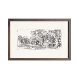 PRINT GICLEE Charcoal Trees 3 | Sketch Art Print | Trees Wall Art | Sketch Wall Decor | Interior Design Art | Forest Trees Print | Art Print