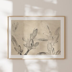 ART PRINT Floral Drawing III | Printed Flower Art | Botanical Prints | Large Modern Art | Home Gifts Art | Minimal Floral Art Drawing