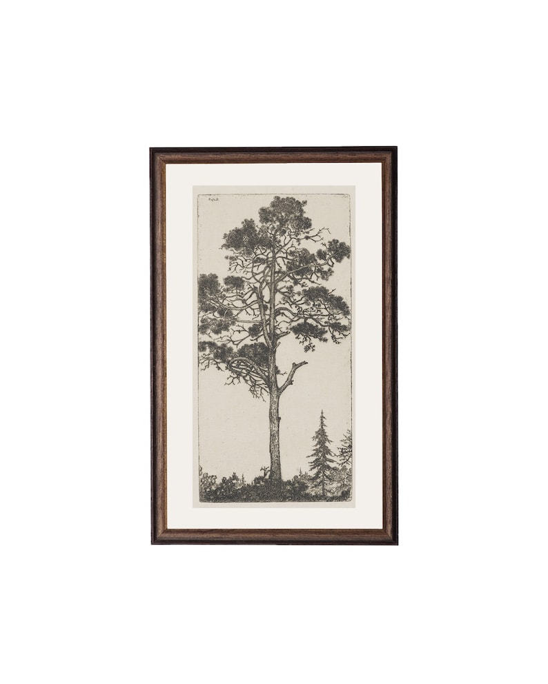 Trees Etching 1. Etching Tree Print. Trees Wall Art Printed. Etsy