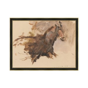 Wild Colt