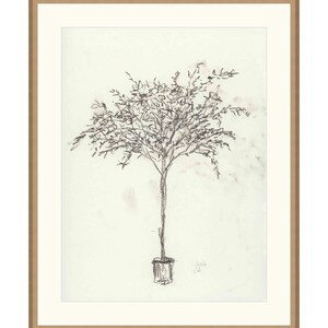 Puede incluir: Un dibujo a l&aacute;piz en blanco y negro de un &aacute;rbol en maceta sobre un fondo marr&oacute;n claro. El dibujo est&aacute; firmado "Loren Ca."
