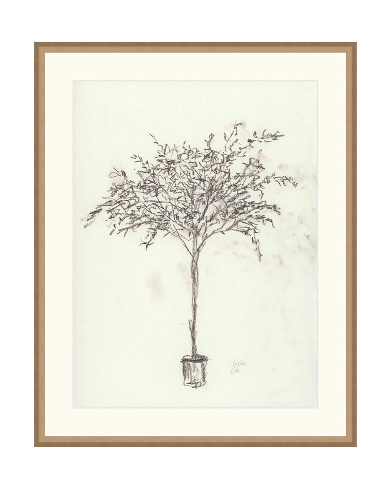 Puede incluir: Un dibujo a l&aacute;piz en blanco y negro de un &aacute;rbol en maceta sobre un fondo marr&oacute;n claro. El dibujo est&aacute; firmado "Loren Ca."