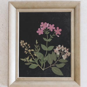 Flower Study I. Minimal Flower Print. Painting of Flowers. Antique Flower Painting. Vintage Painting. Vintage Flower Art. imagen 6