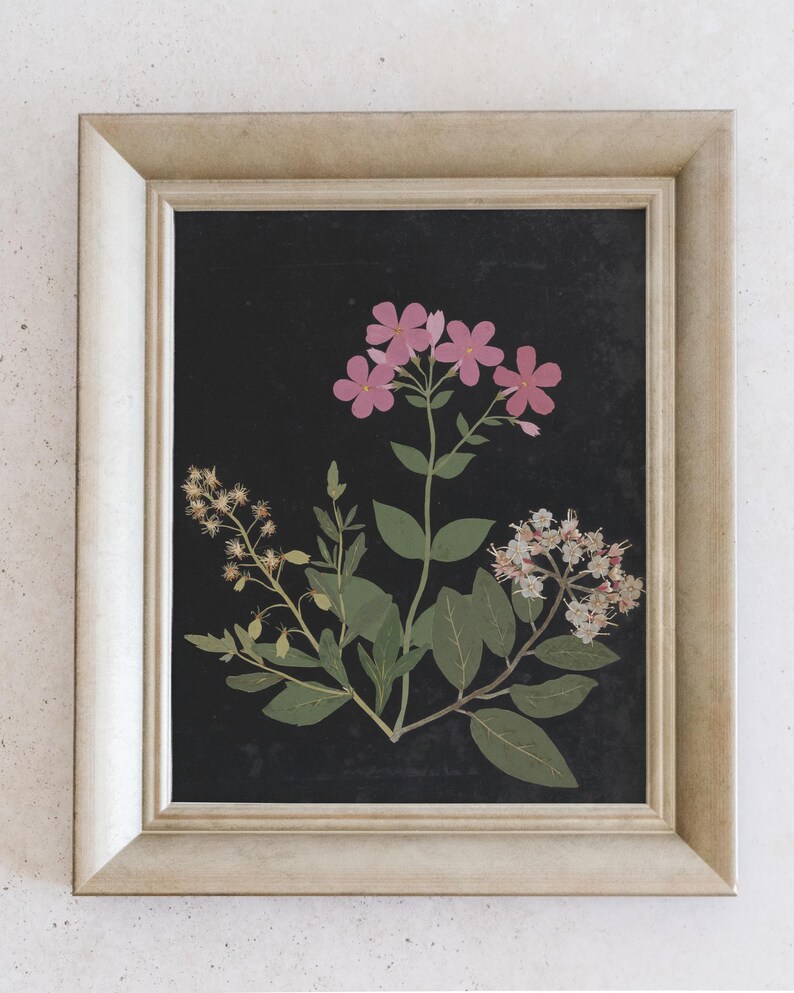 Flower Study I. Minimal Flower Print. Painting of Flowers. Antique Flower Painting. Vintage Painting. Vintage Flower Art. imagen 6