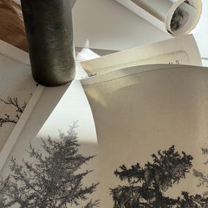 May include: A close-up of a black and white drawing of two pine trees on a beige background. A green ceramic bottle is partially visible in the top left corner of the image.