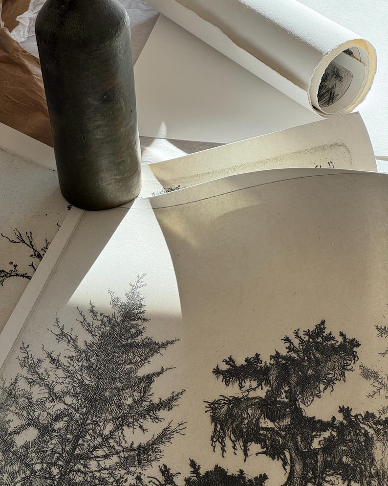 May include: A close-up of a black and white drawing of two pine trees on a beige background. A green ceramic bottle is partially visible in the top left corner of the image.
