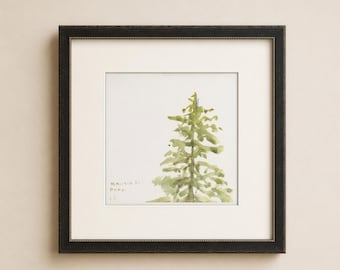 Estampe minimaliste à l'aquarelle représentant un pin aux tons vert tendre. Études de pins I