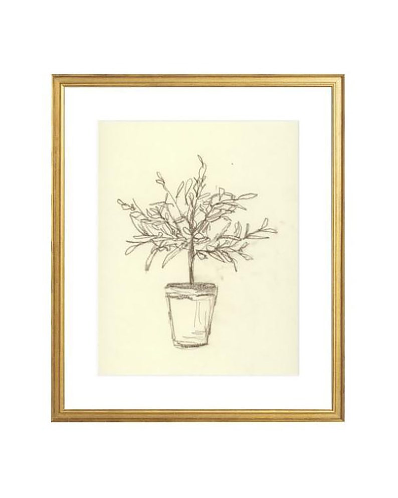 Olive Tree Sketch. Olive Tree Print. Tree Sketch Print. - Etsy