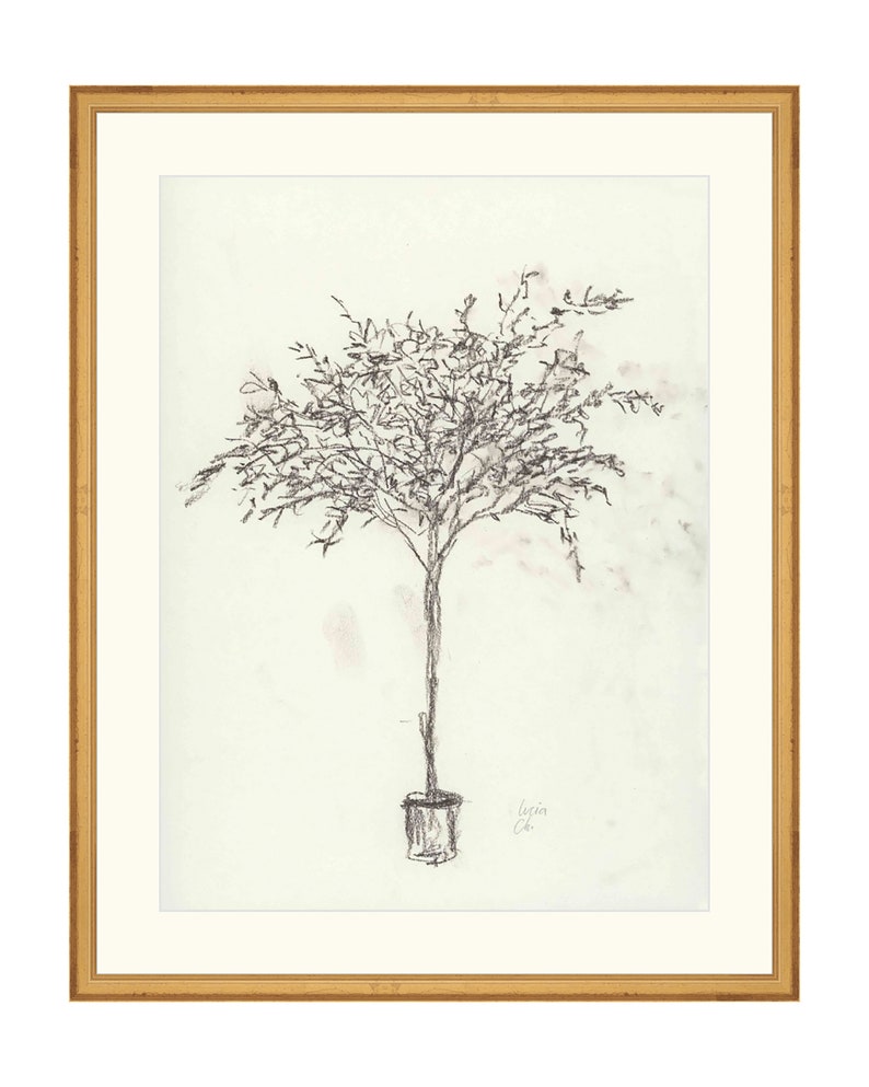 Olive Tree Sketch II. Tree Sketch Print. Olive Tree Art Print. - Etsy