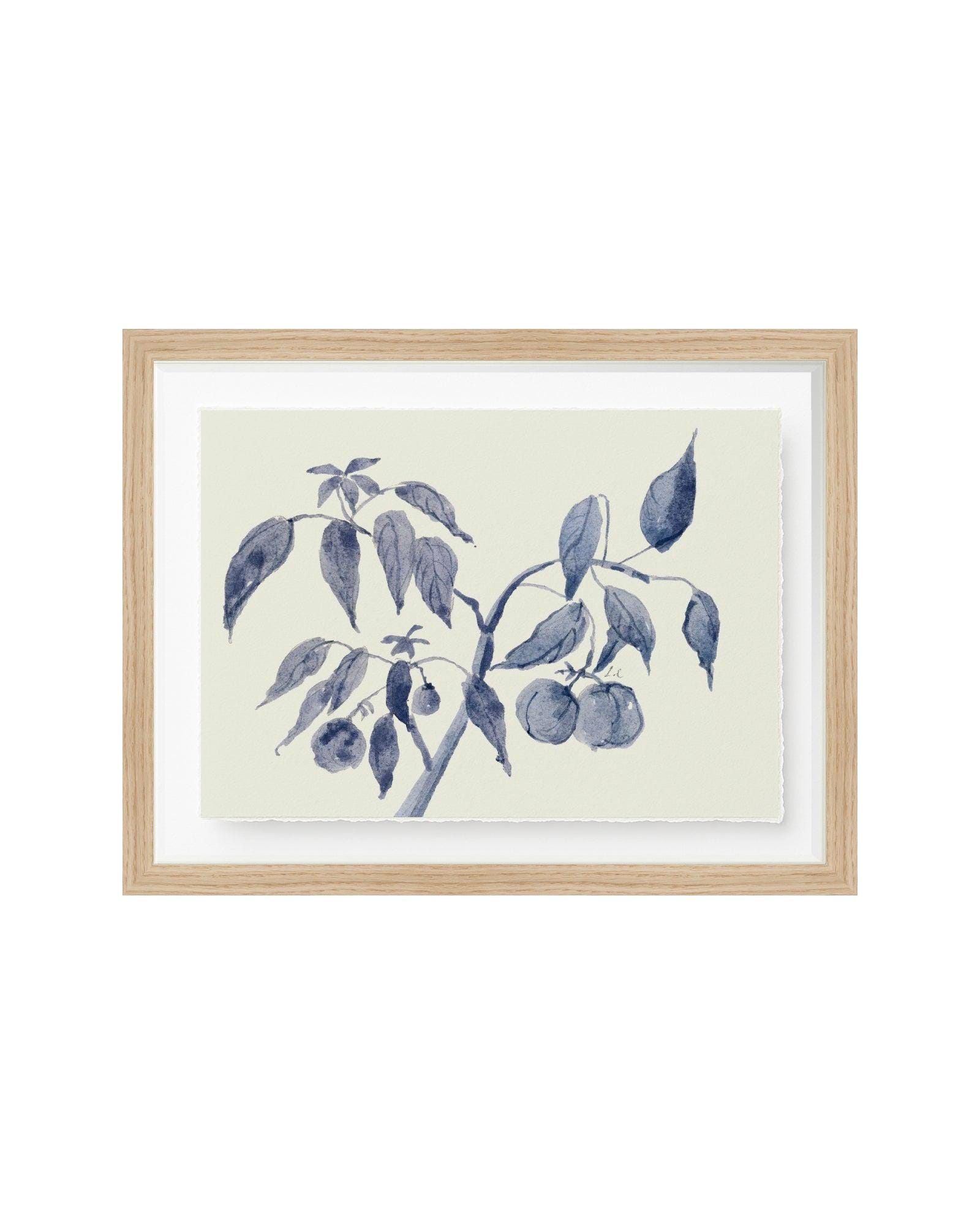 Neutral Wall Art – Sunland Botanicals No. 2, Framed Botanical Fruit Tree Wall Art, Giclée Print in Indigo Tones for Calm, Elegant Wall Decor