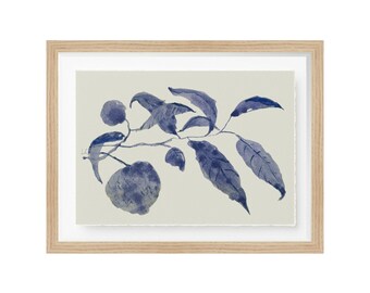 Framed Blue Botanical Wall Art – Sunland Botanicals No. 1, Giclée Fruit Branch Print for Neutral Home Decor and Modern Interiors, Wall Decor