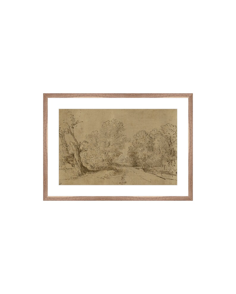 May include: A black and white pencil drawing of a path through a forest. The path is lined with trees on either side, and the trees are drawn in a detailed and realistic style.
