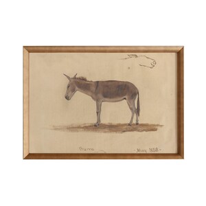 May include: A framed vintage illustration of a donkey, drawn in pencil and watercolor. The donkey is brown and gray, and the illustration is dated "May 1858".