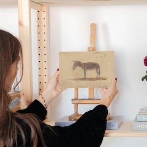Puede incluir: Una persona sosteniendo un dibujo enmarcado de un burro en un caballete de madera. El dibujo est&aacute; sobre un fondo beige con un burro marr&oacute;n en el centro. El caballete est&aacute; en un estante de madera con libros y otros objetos.