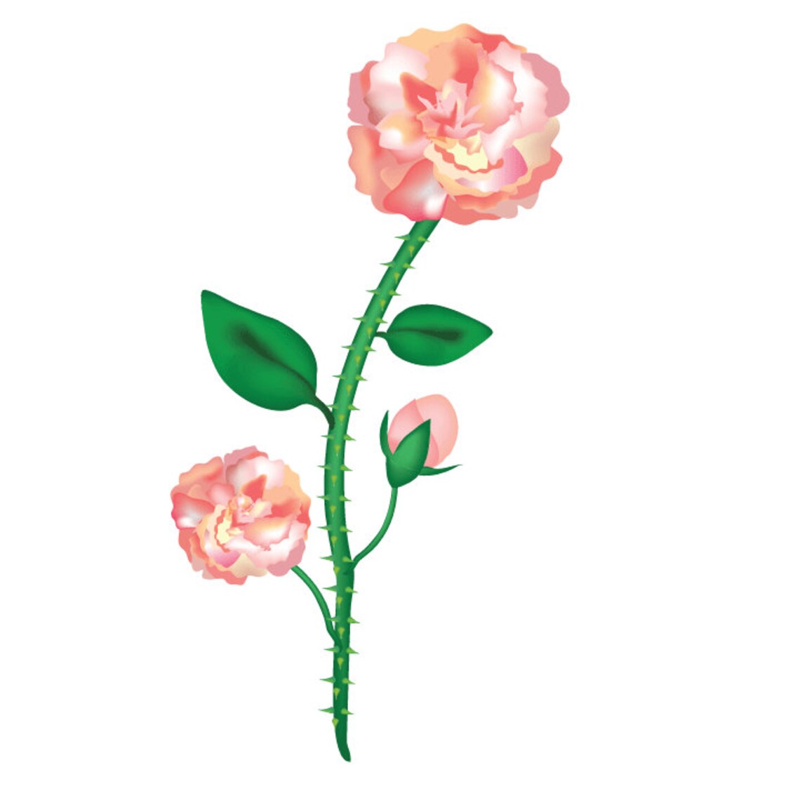 Adobe Illustrator Wild Rose Brush Set for Use in Adobe Etsy