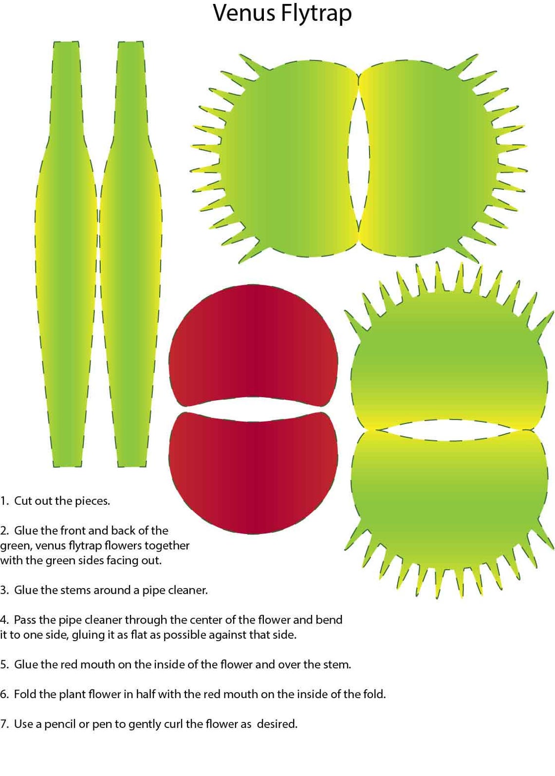 Venus Flytrap Activity Sheet - Etsy Hong Kong