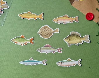 Set of hand drawn various fish vinyl stickers