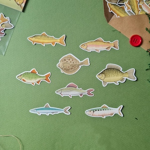 Set von handgezeichneten verschiedenen Fischen Vinyl-Sticker