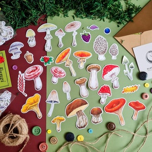 Enorme conjunto de pegatinas de vinilo con forma de hongo. Colección de 30 hongos de distintos colores dibujados a mano.