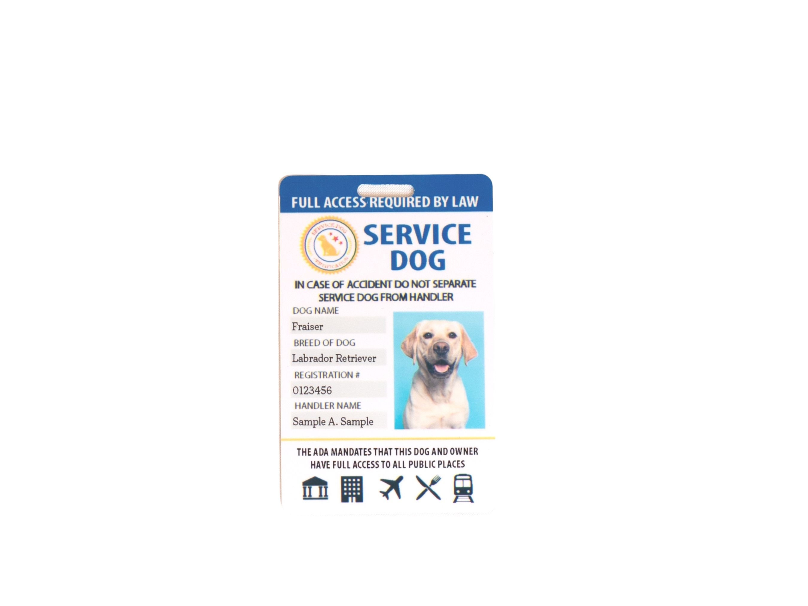 Service Dog Emergency Card Service Dog Medical Card Service Dog Card Jewellery Bracelets ID & Medical Bracelets Service Dog Alert Card 