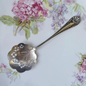 Puede incluir: Una cuchara de servir plateada con un diseño floral decorativo en el cuenco y el mango. El cuenco tiene patrones florales recortados. El mango tiene un diseño detallado y texturizado. La cuchara está sobre un fondo floral.