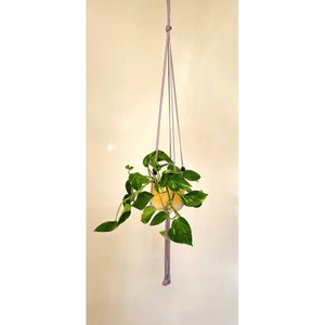 Macrame plantenhanger, Boho plantenhanger, Macrame muurhanger, Kamerplantenhanger