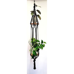 May include: Black macrame plant hanger with two wooden rings and two potted plants. The hanger is hanging from the ceiling.