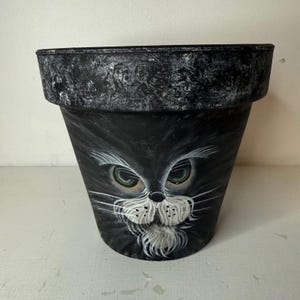 May include: A black tapered plant pot featuring a hand-painted face of a cat with green eyes and white whiskers. The rim of the pot has a distressed, textured black and grey finish, while the main body displays a detailed feline portrait.