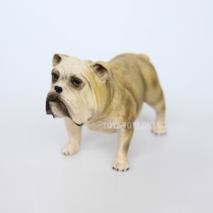 1/6 Scale Bulldog Model Figurine: Mini Animal Toy