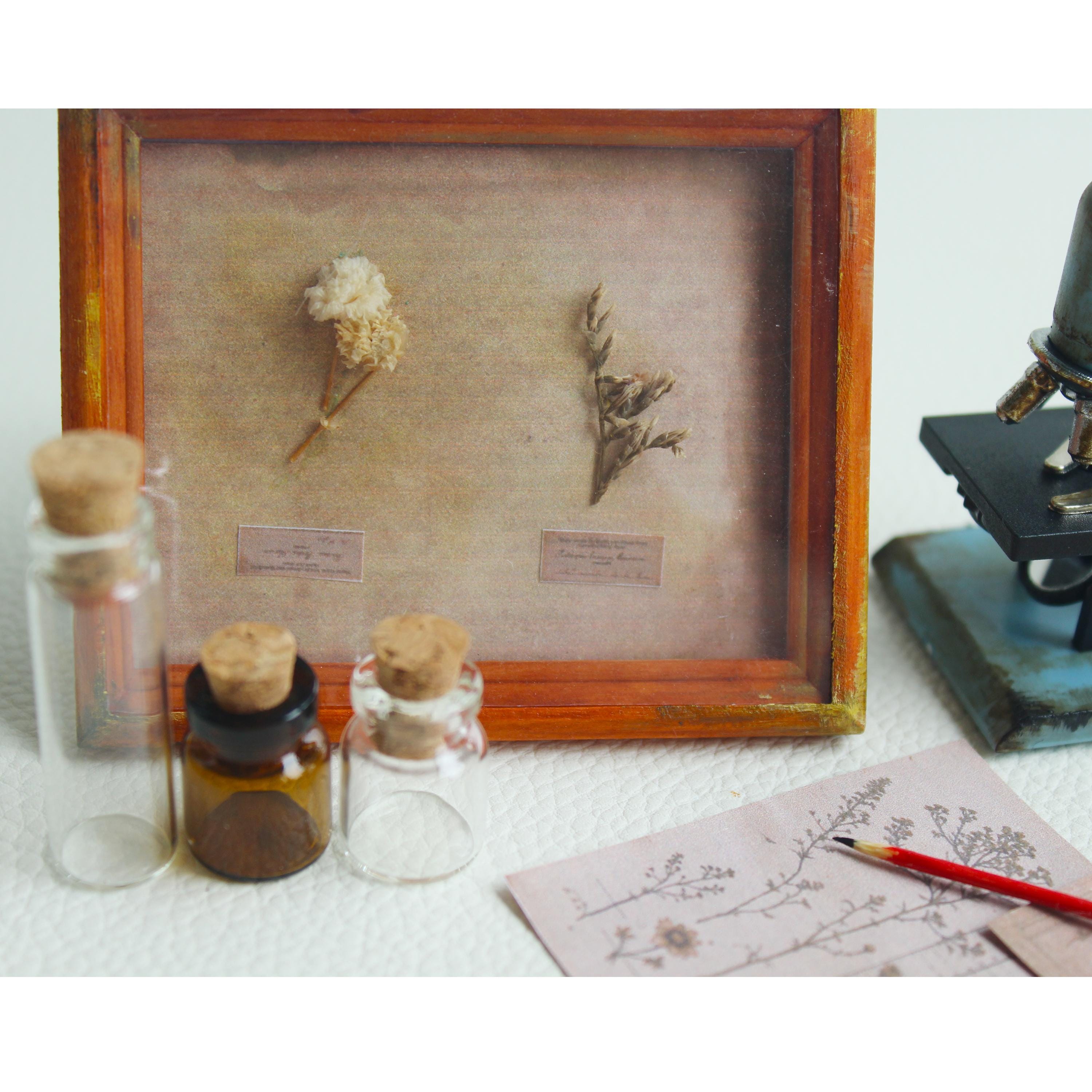 1/6 Scale Miniature Laboratory Set: Microscope, Bottles, Pencil - Doll ...