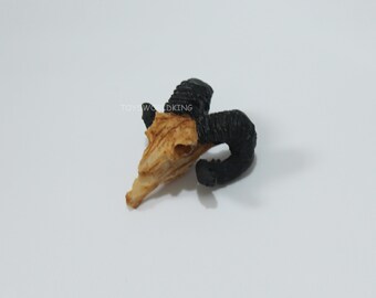 May include: A small, decorative ram skull with black horns. The skull is made of a light brown material and has a detailed texture.