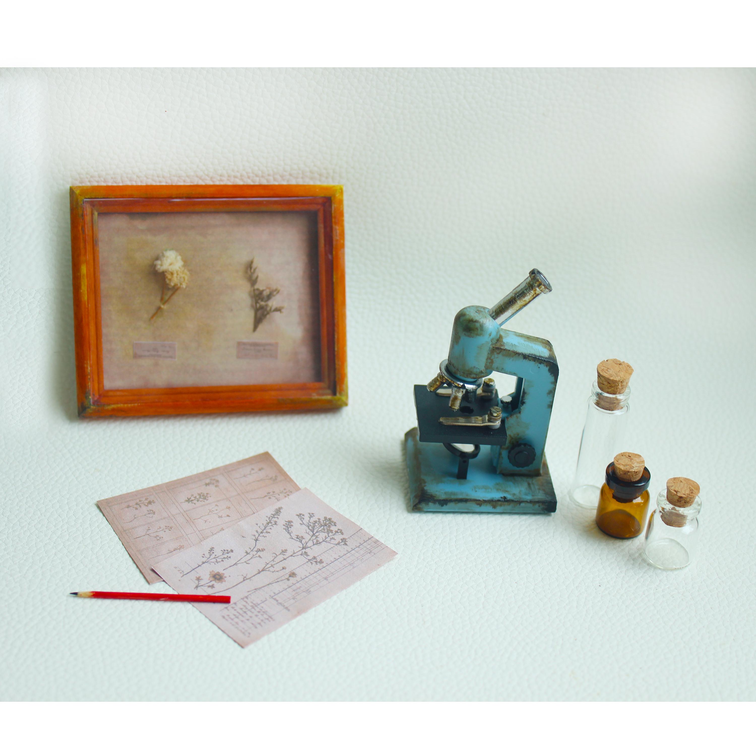 1/6 Scale Miniature Laboratory Set: Microscope, Bottles, Pencil - Doll ...