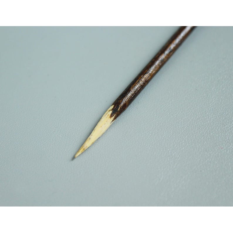May include: A close-up of a wooden skewer with a pointed tip. The skewer is brown with a natural wood finish and has a light brown tip.