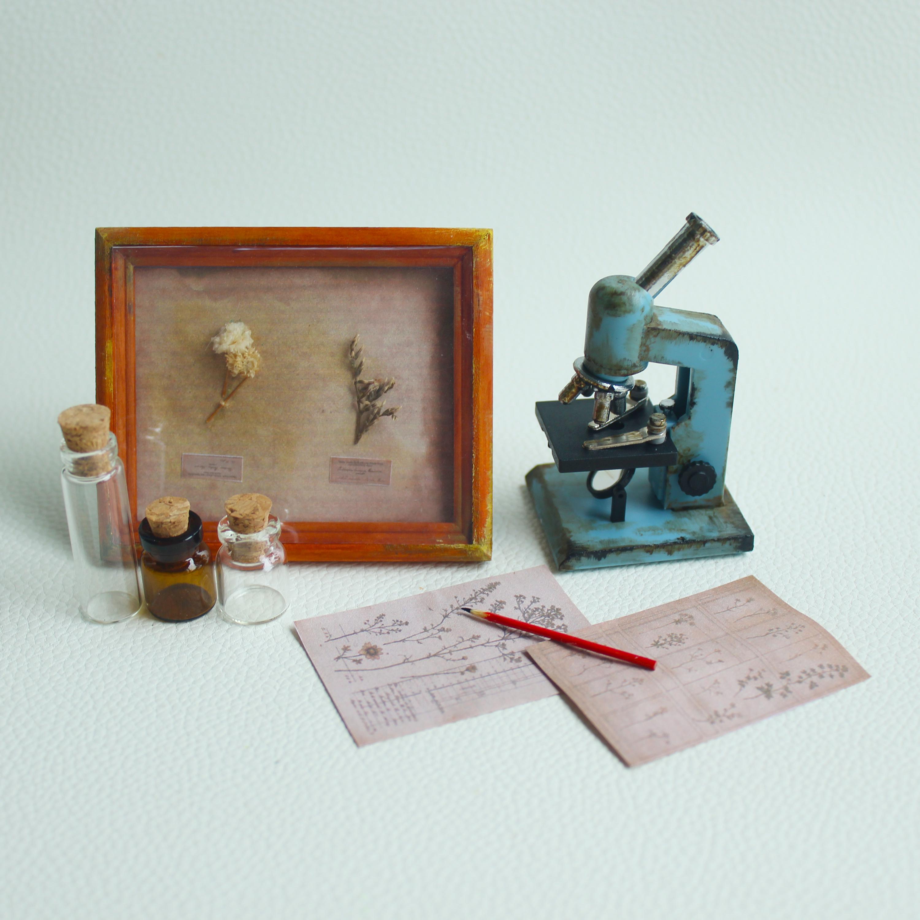 1/6 Scale Miniature Laboratory Set: Microscope, Bottles, Pencil - Doll ...